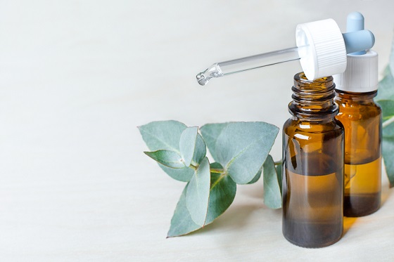 伦敦必去的top8城市农场推荐