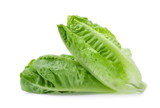 生菜 | lettuce