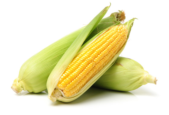 shutterstock_220496950.jpg