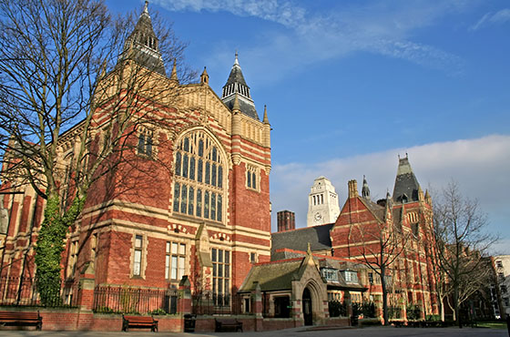 利兹大学